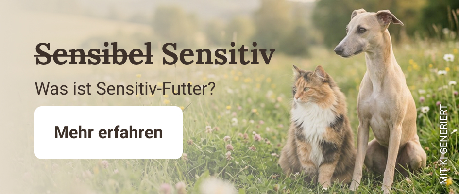 sensitiv-header-klein-desktop-DE