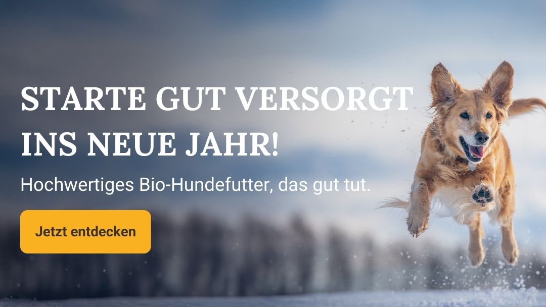 Starte gut versorgt ins neue Jahr mit hochwertigem Bio Hundefutter von Liebesgut Tiernahrung. Natürliches Futter für Hunde. Jetzt entdecken.