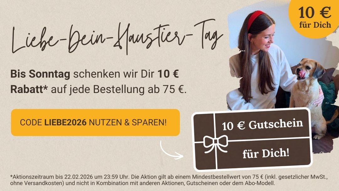 LG-2026-KW8 LdH-Tag Shop-Header Mobile DE Version 2