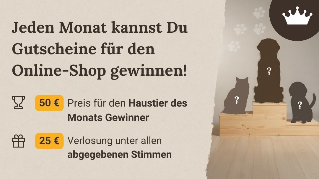 Infografik zum Haustier des Monats mit Gewinnchancen auf Einkaufsgutscheine im Liebesgut Tiernahrung Onlineshop