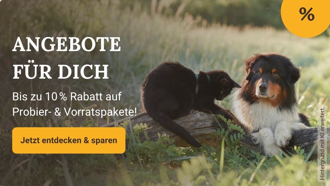 2026-09 Header Startseite Mobile