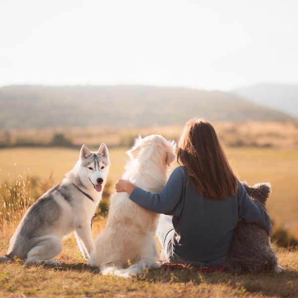 Frau sitzt mit drei Hunden auf einer Wiese und blickt in die Landschaft von Liebesgut Tiernahrung