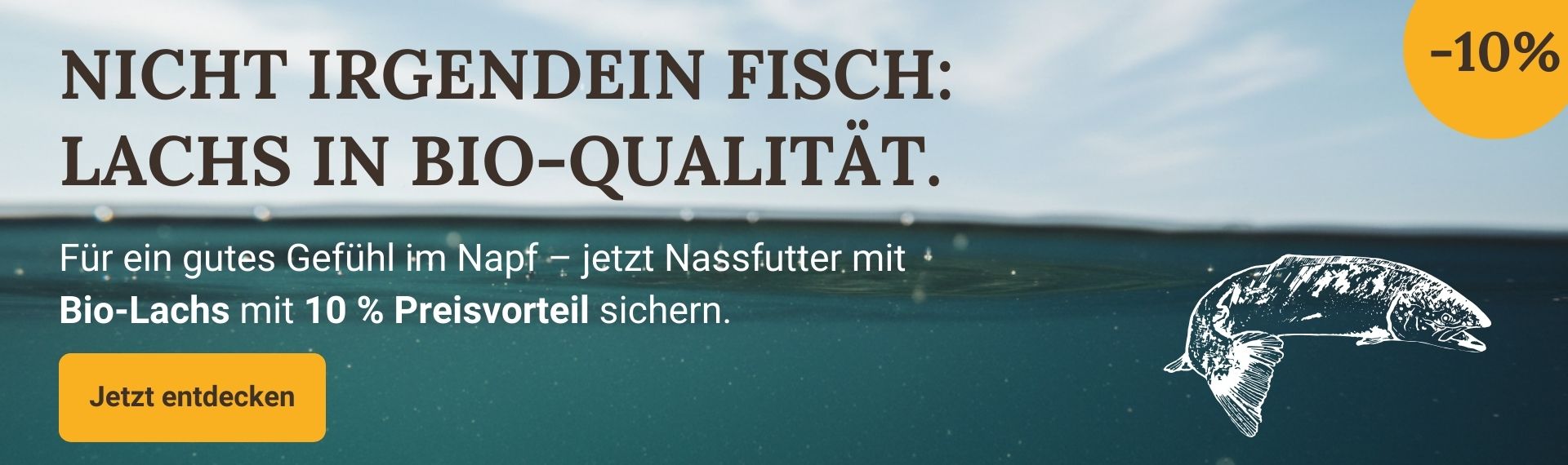 LG-NL 2026-10 Bio-Lachs Shop-Header Desktop DE Ver.2