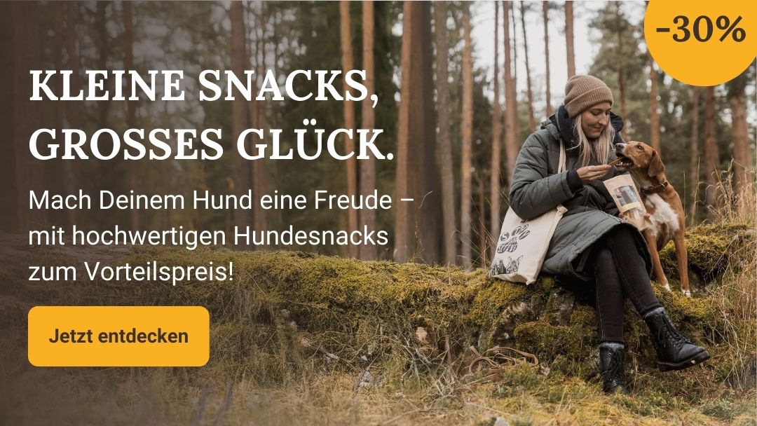 LG-NL 2026-06 MHD-Snacks Shop-Header Mobile DE